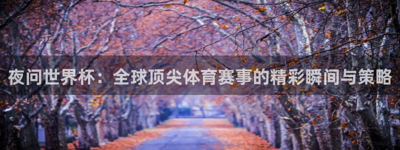 2026世界杯亚洲预选赛赛程：夜问世界杯：全球顶尖体育赛事的精彩瞬间与策略