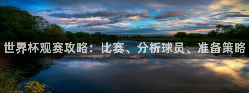世界杯欧洲区预选赛：世界杯观赛攻略：比赛、分析球员、准备策略