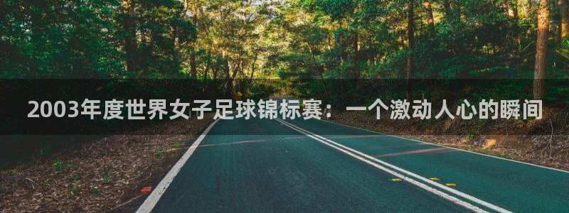 足球世预赛：2003年度世界女子足球锦标赛：一个激动人心的瞬间