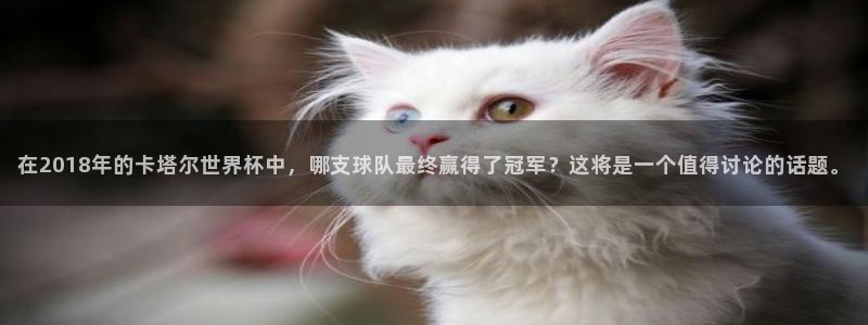 2026世界杯亚洲预选赛赛程：在2018年的卡塔尔世界杯中，哪支球队最终赢得了冠军？这将是一个值得讨论的话题。