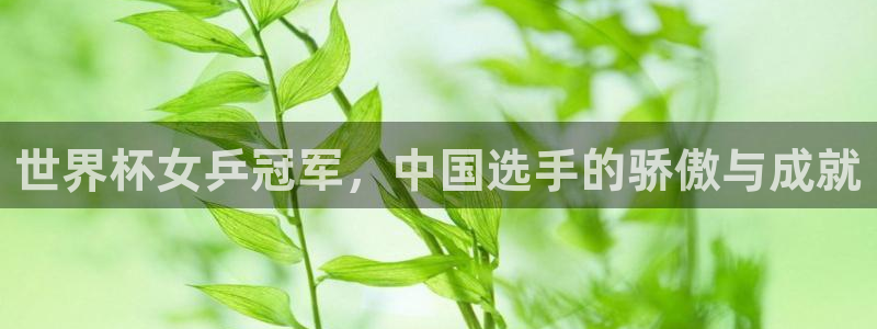 今年的世界杯：世界杯女乒冠军，中国选手的骄傲与成就
