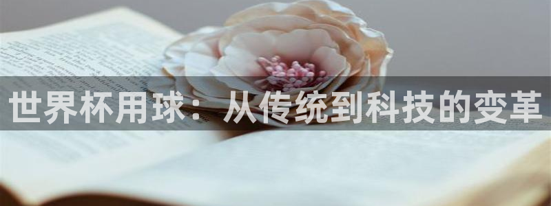 2026年世界杯：世界杯用球：从传统到科技的变革