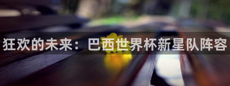 2026世界杯中国队：狂欢的未来：巴西世界杯新星队阵容