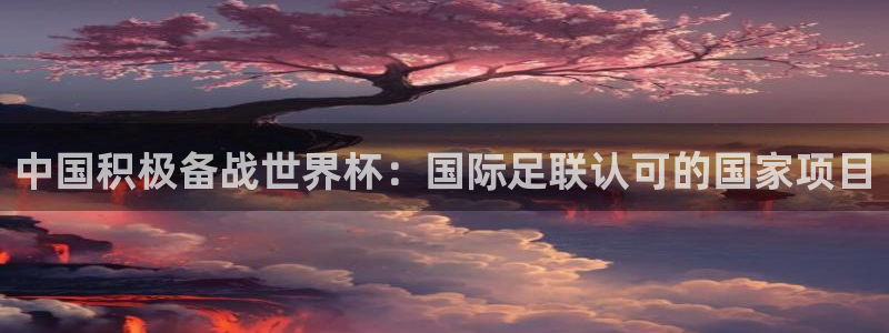 2026世界杯预选赛：中国积极备战世界杯：国际足联认可的国家项目