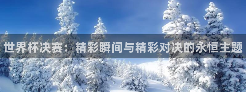 2026年男足世界杯：世界杯决赛：精彩瞬间与精彩对决的永恒主题