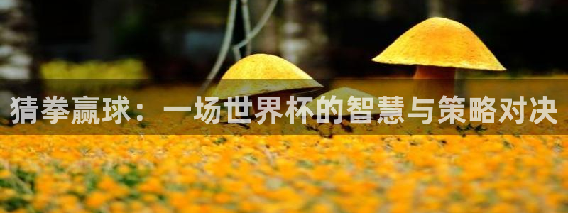 世界杯时间：猜拳赢球：一场世界杯的智慧与策略对决