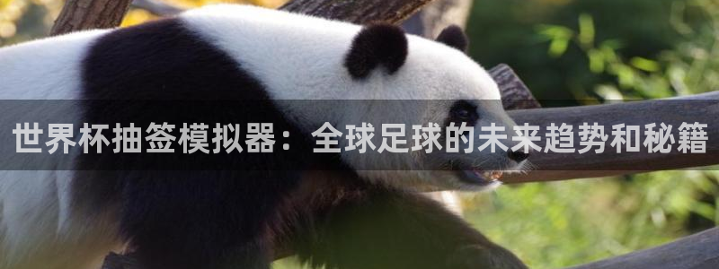 世界杯2026赛程时间表格：世界杯抽签模拟器：全球足球的未来趋势和秘籍