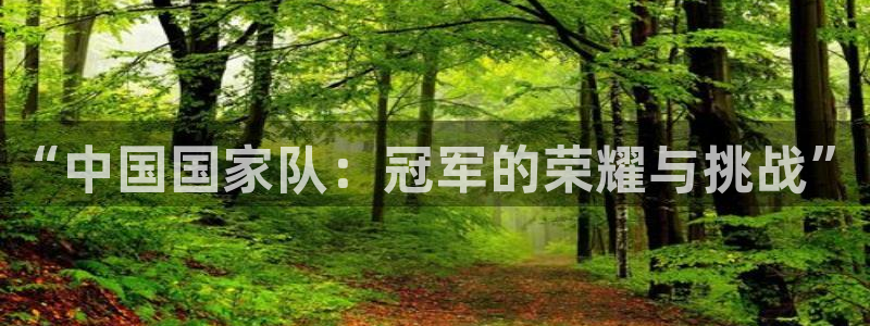 2026世界杯预选赛：“中国国家队：冠军的荣耀与挑战”