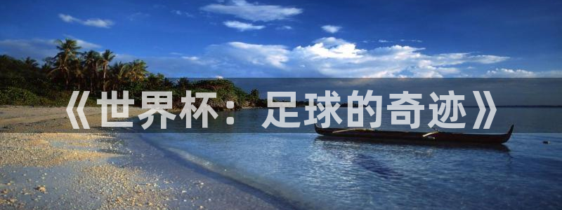2026世界杯亚洲预选赛赛程：《世界杯：足球的奇迹》