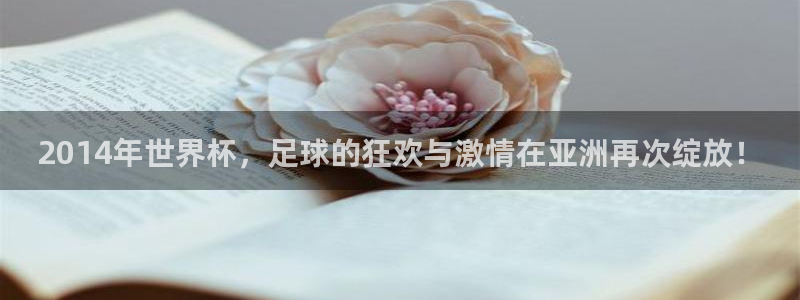 法国杯2026赛程表：2014年世界杯，足球的狂欢与激情在亚洲再次绽放！