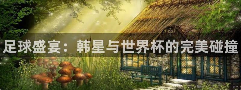 世界杯 赛程：足球盛宴：韩星与世界杯的完美碰撞